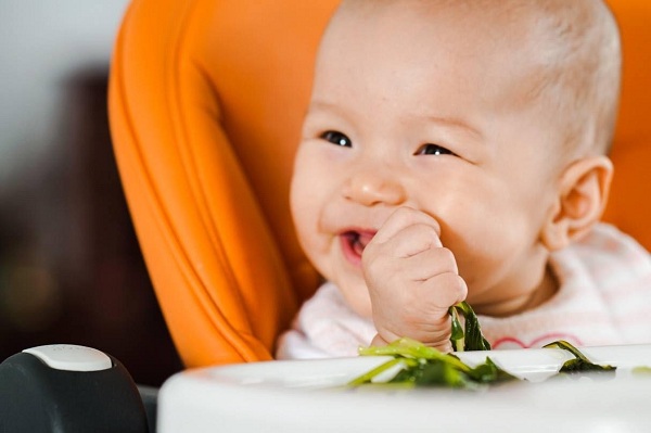 Trẻ mấy tháng tuổi thì ăn được tổ yến sào?